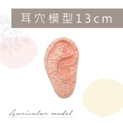 DM1 耳穴模型13cm【五折】